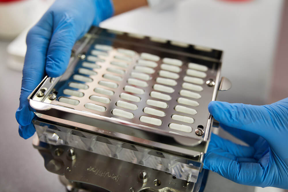 APO_ZUM_LOEWEN_26_08_2020_HIGH_N3A4663