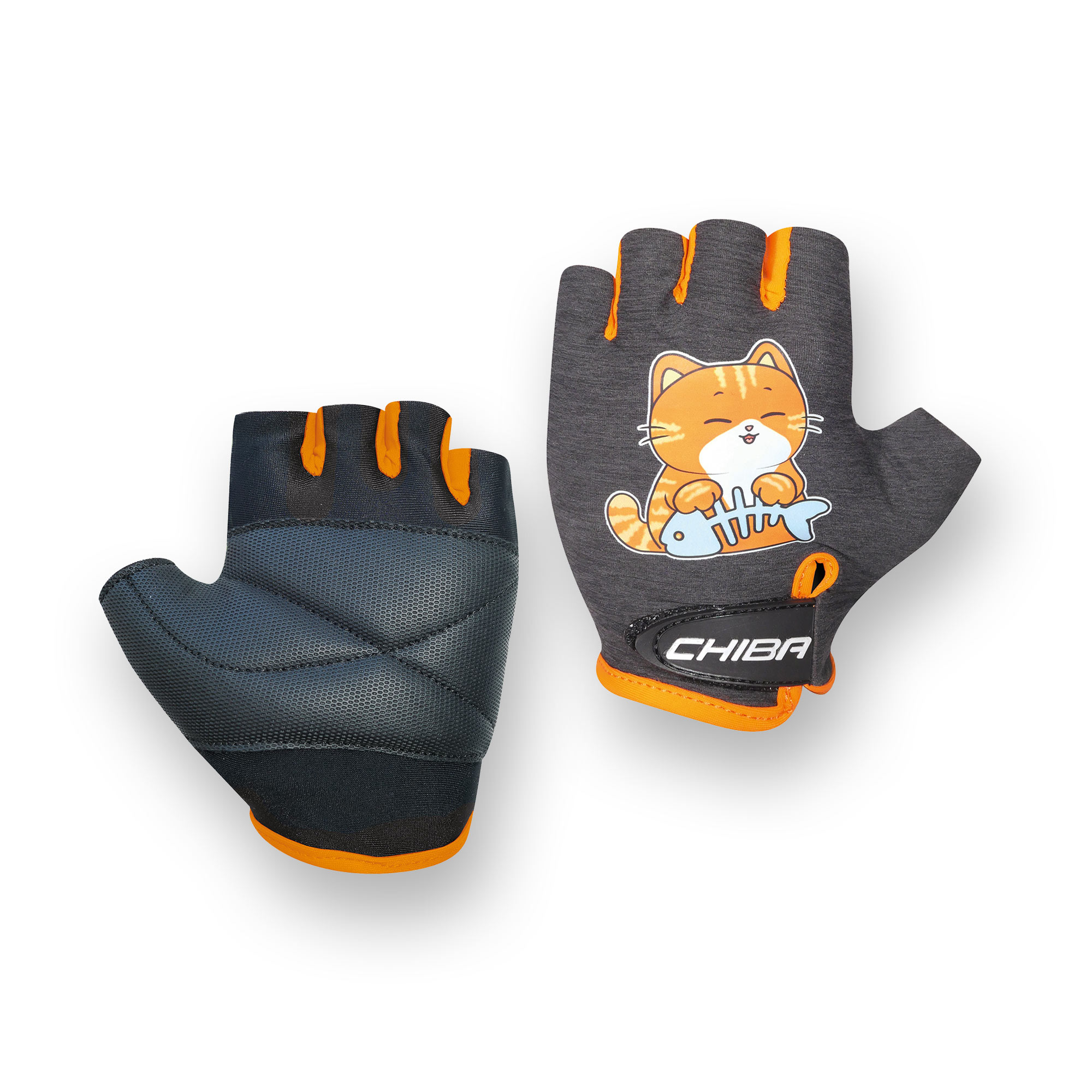 70-15 - Cat