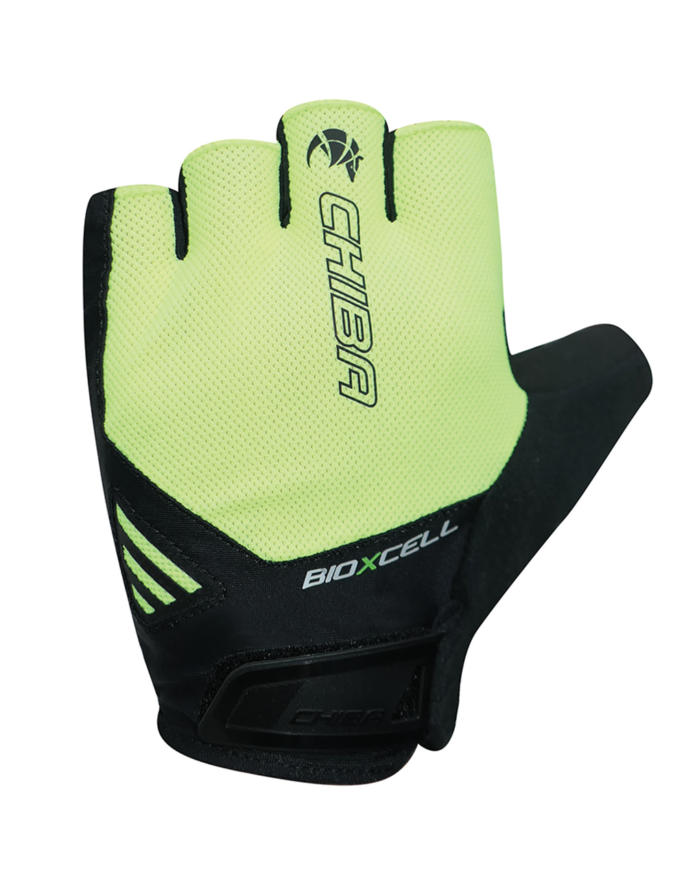 BioXCell Air