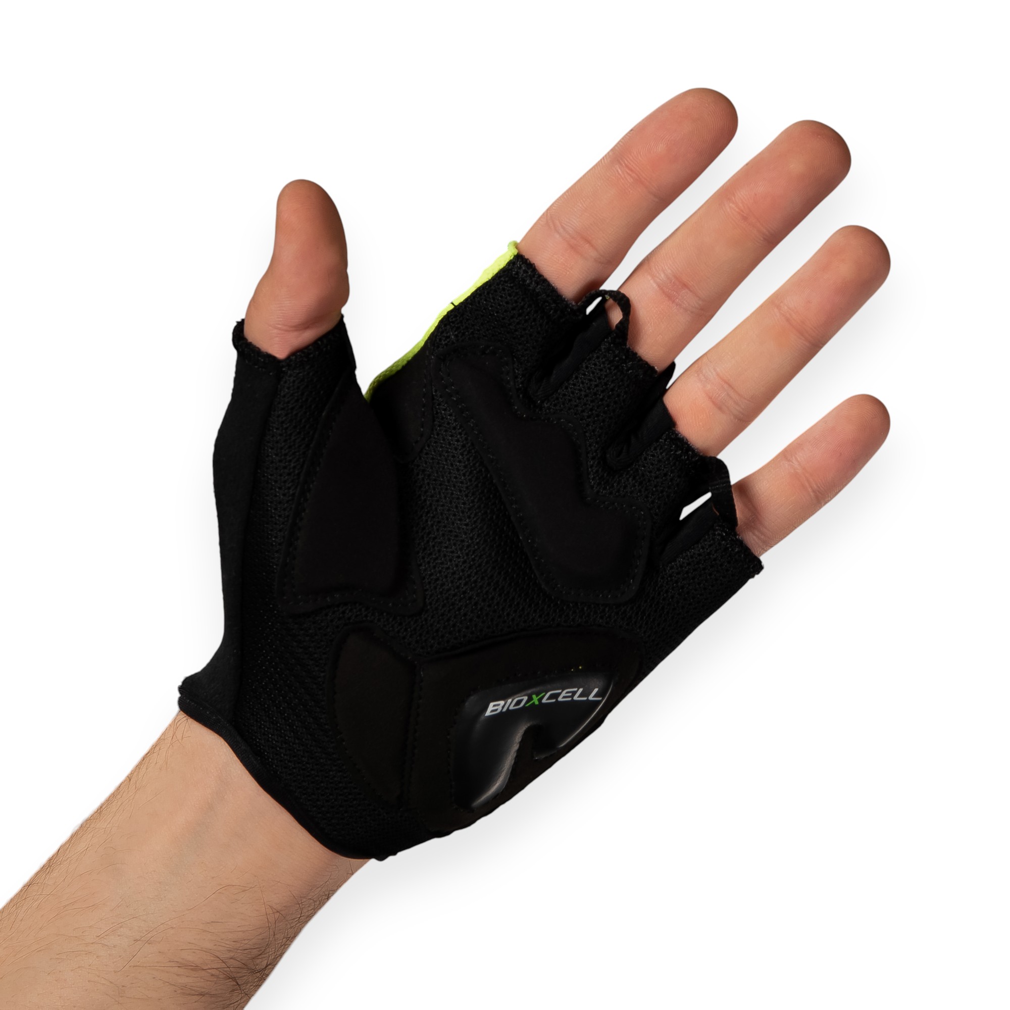 BioXCell Air