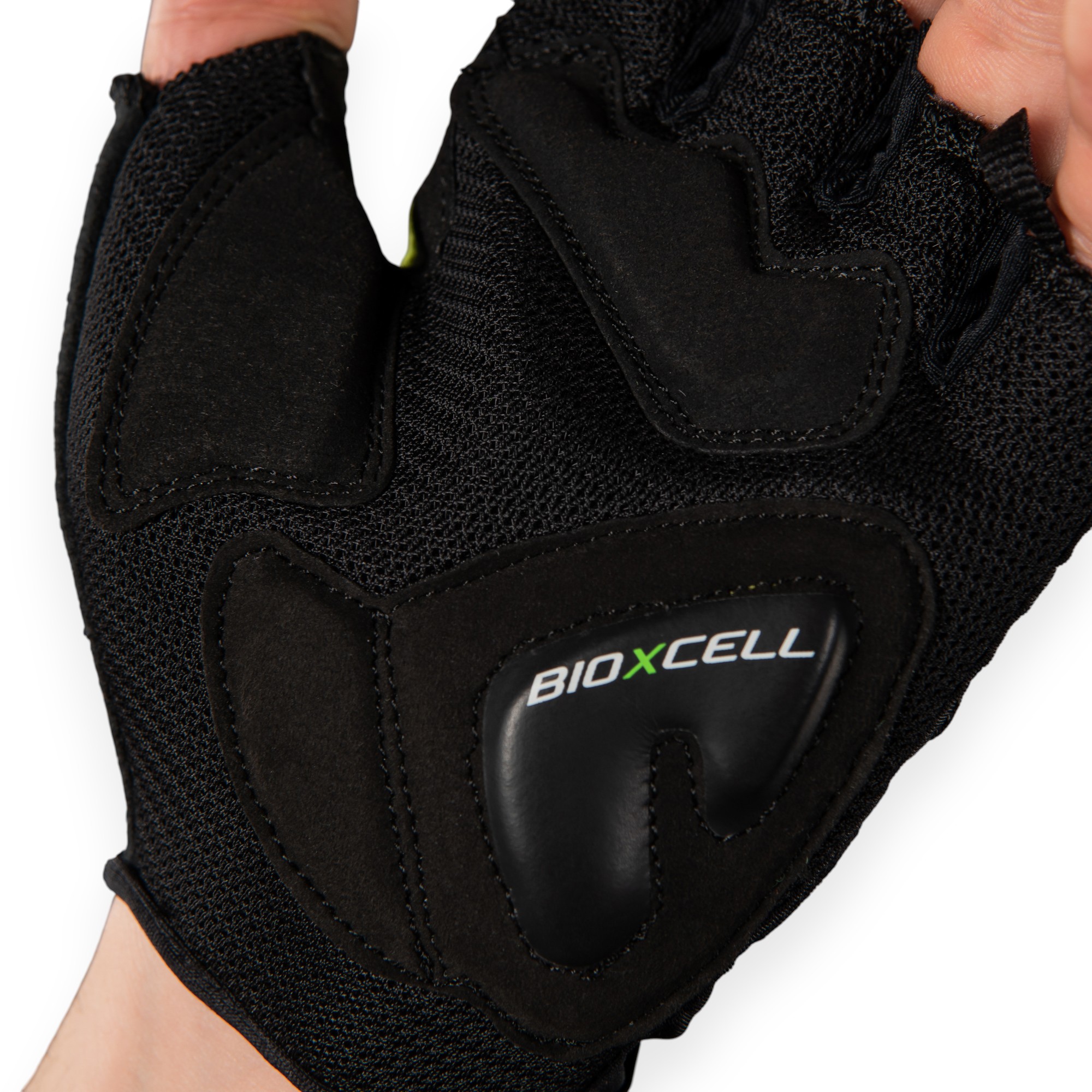 BioXCell Air