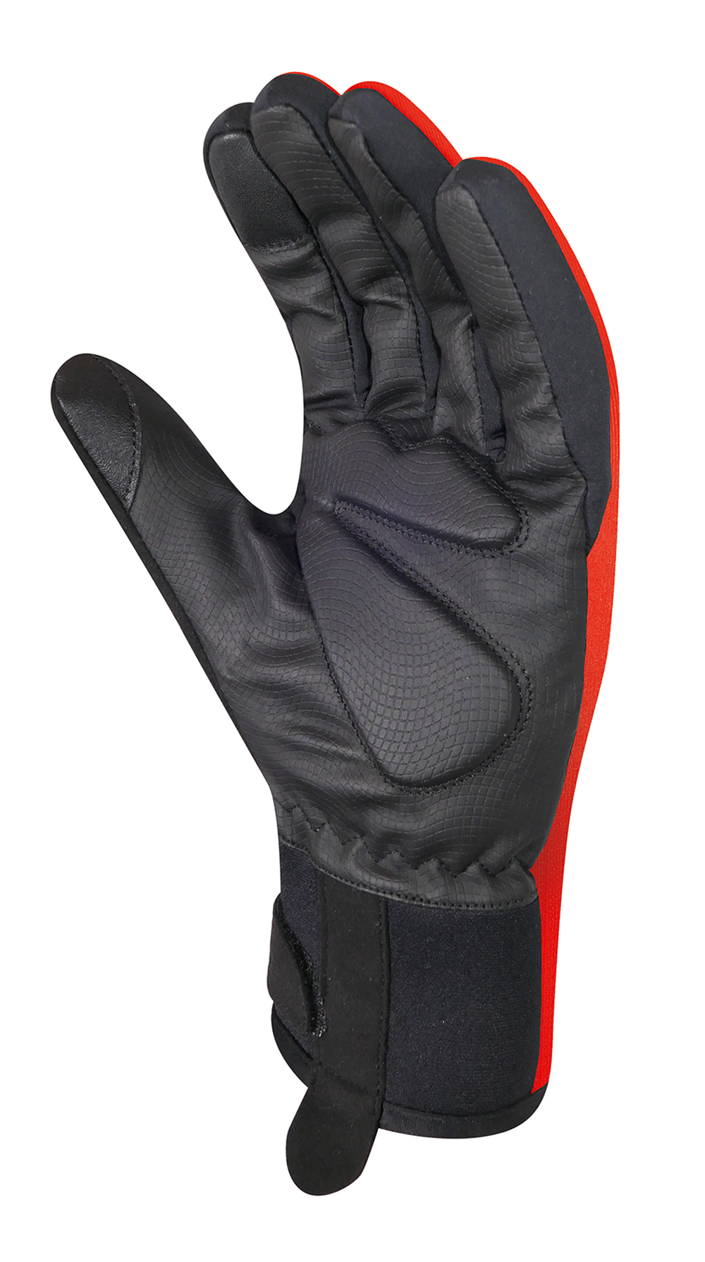 Softshell Light