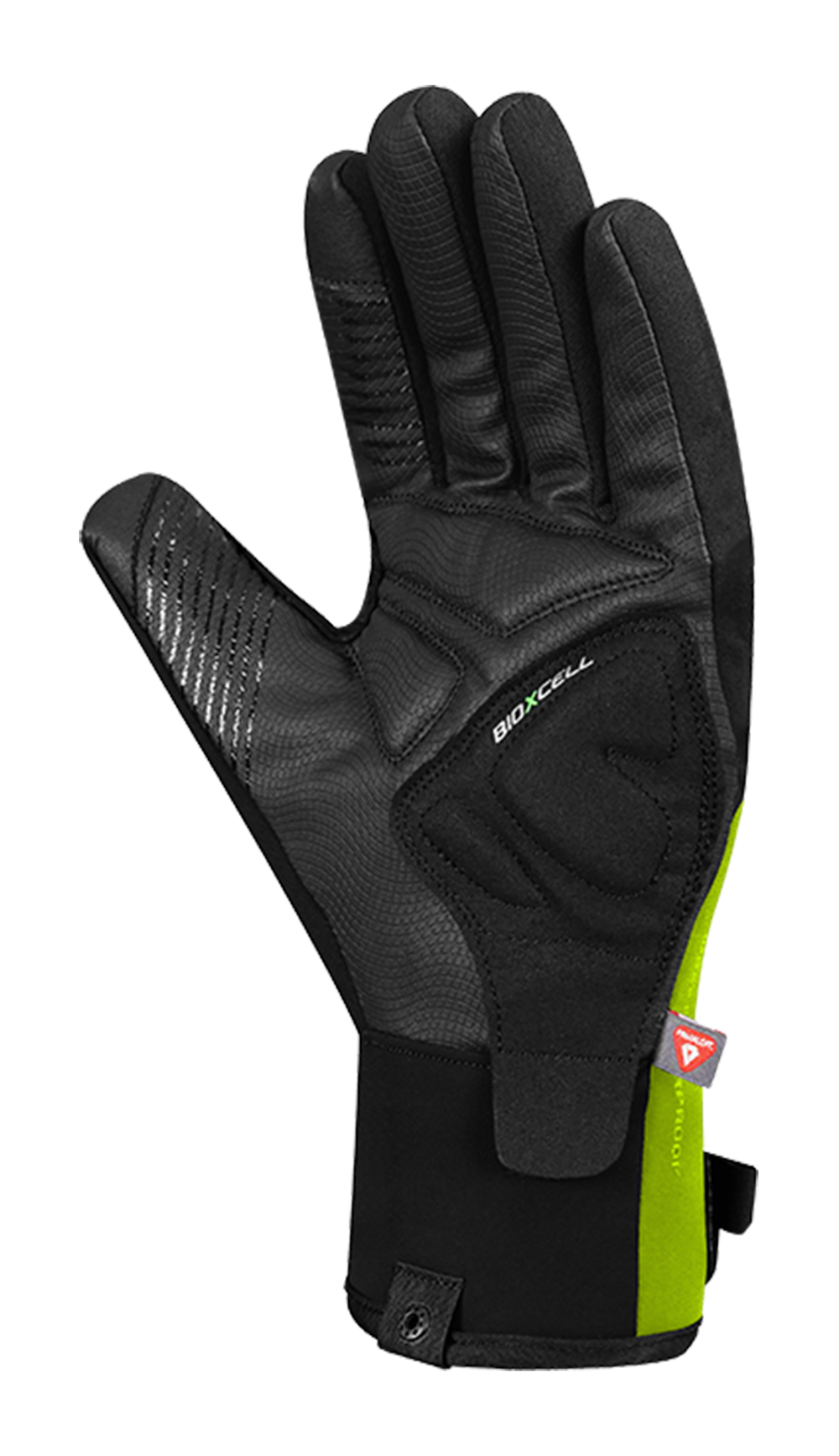 BioXCell Warm Winter