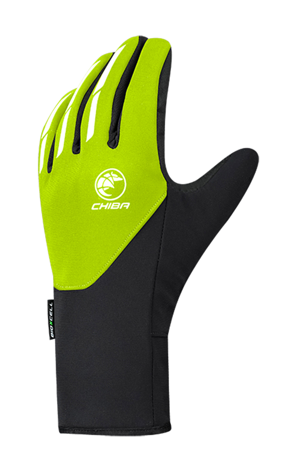 BioXCell Light Winter