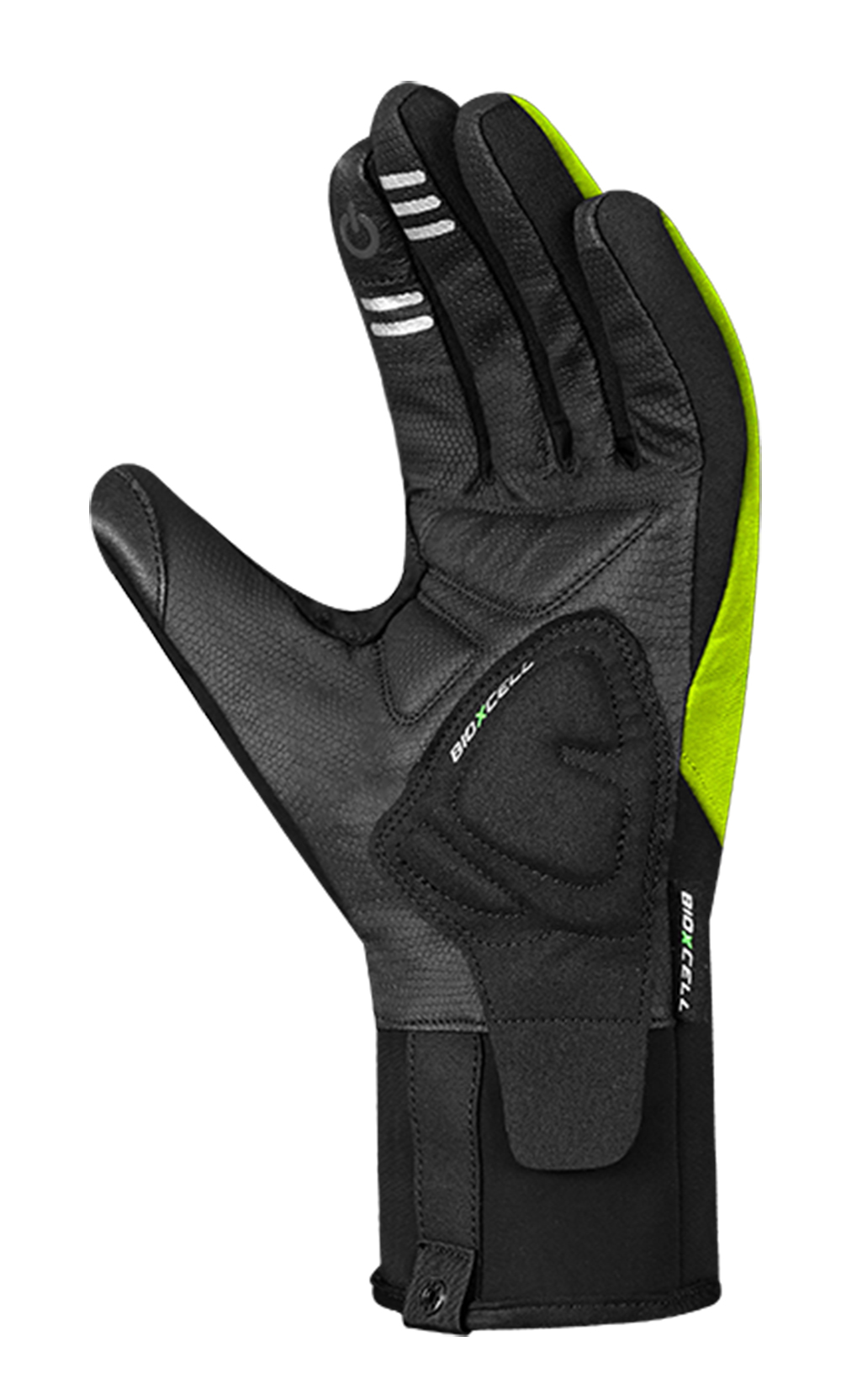 BioXCell Light Winter