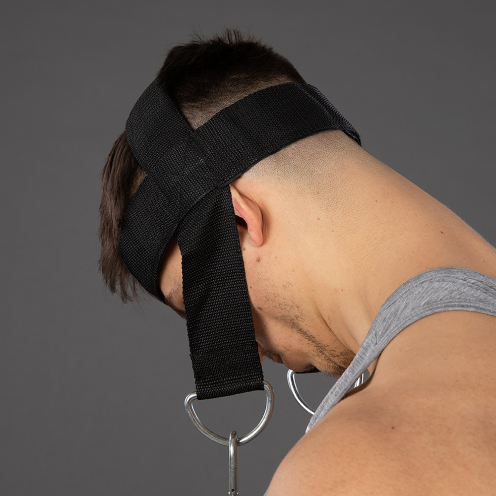Head Harness