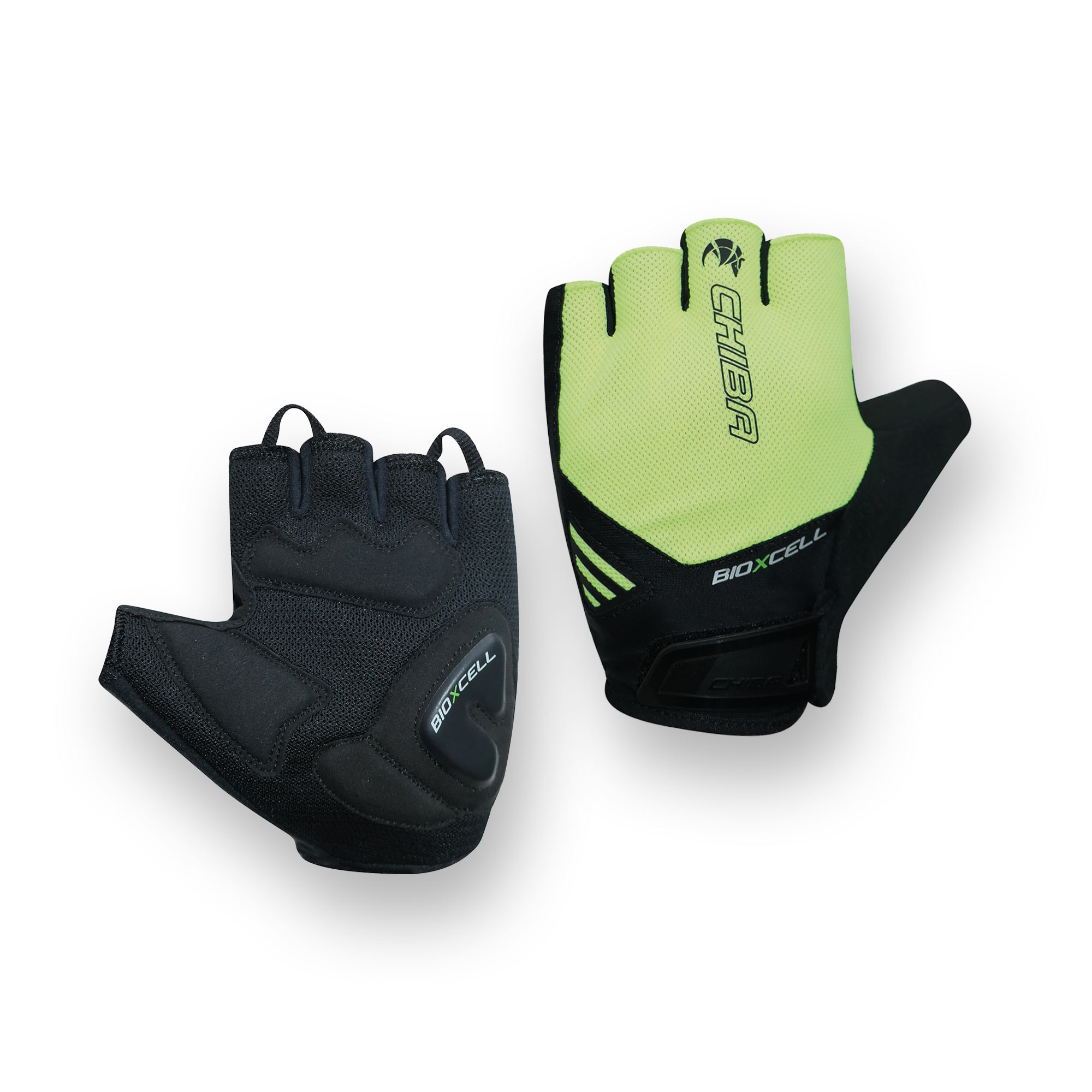 BioXCell Air