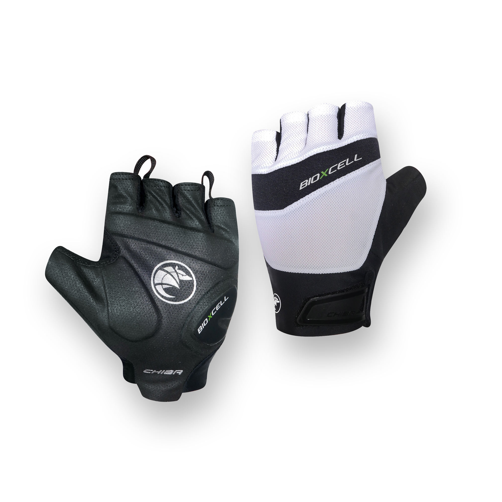 BioXCell Pro