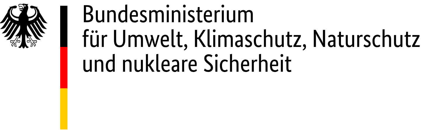 Schirmherrschaft